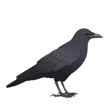 Carrion Crow artwork