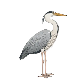 Heron artwork