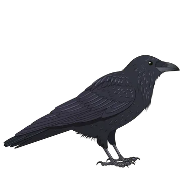 Raven artwork