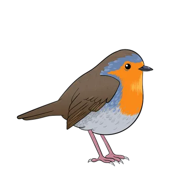 Robin artwork