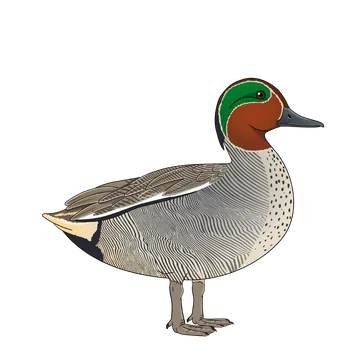 Teal artwork