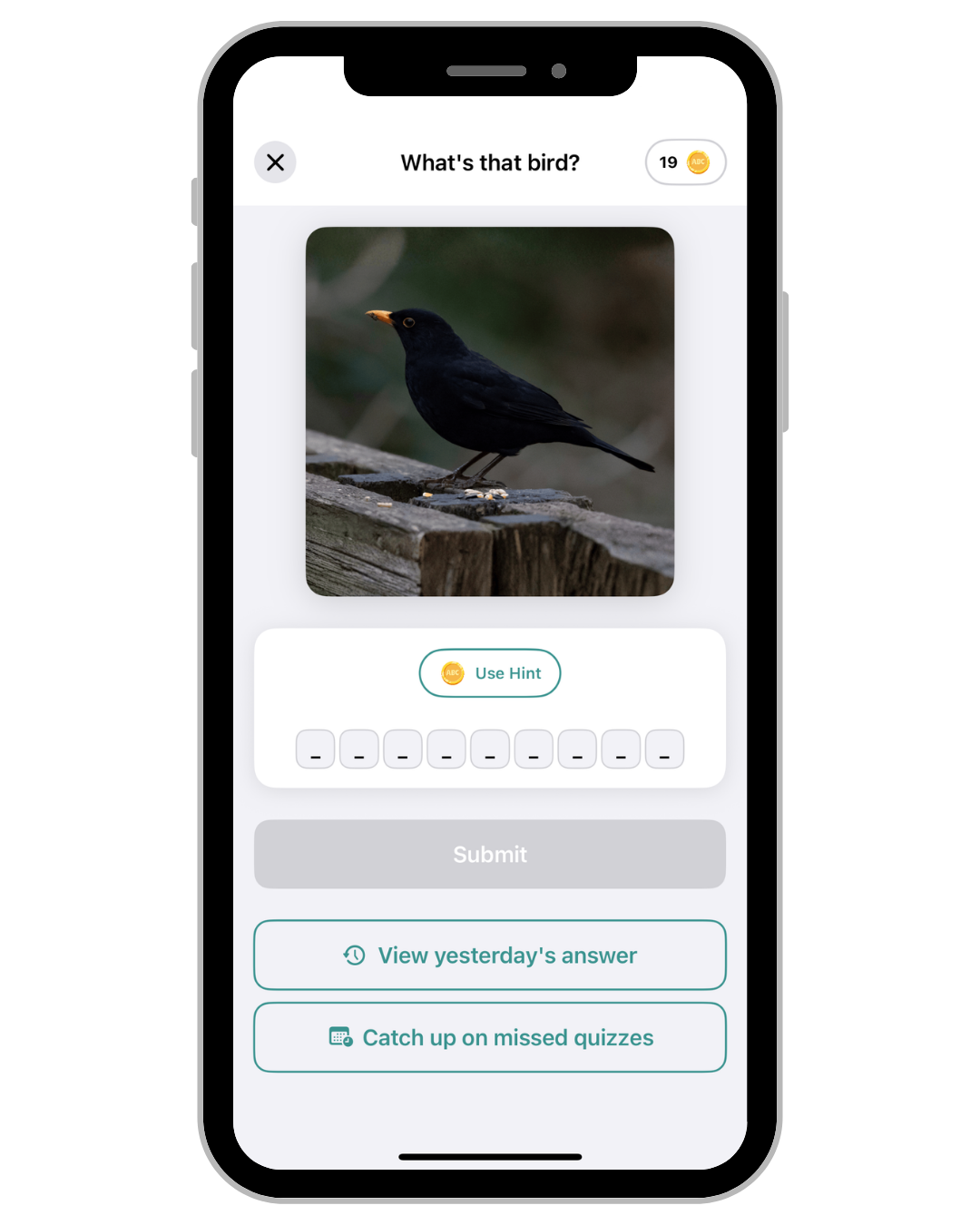 Birdex daily quiz interface asking what's that bird