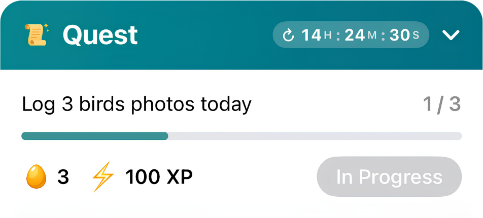 Birdex quest panel showing a task to log three bird photos today
